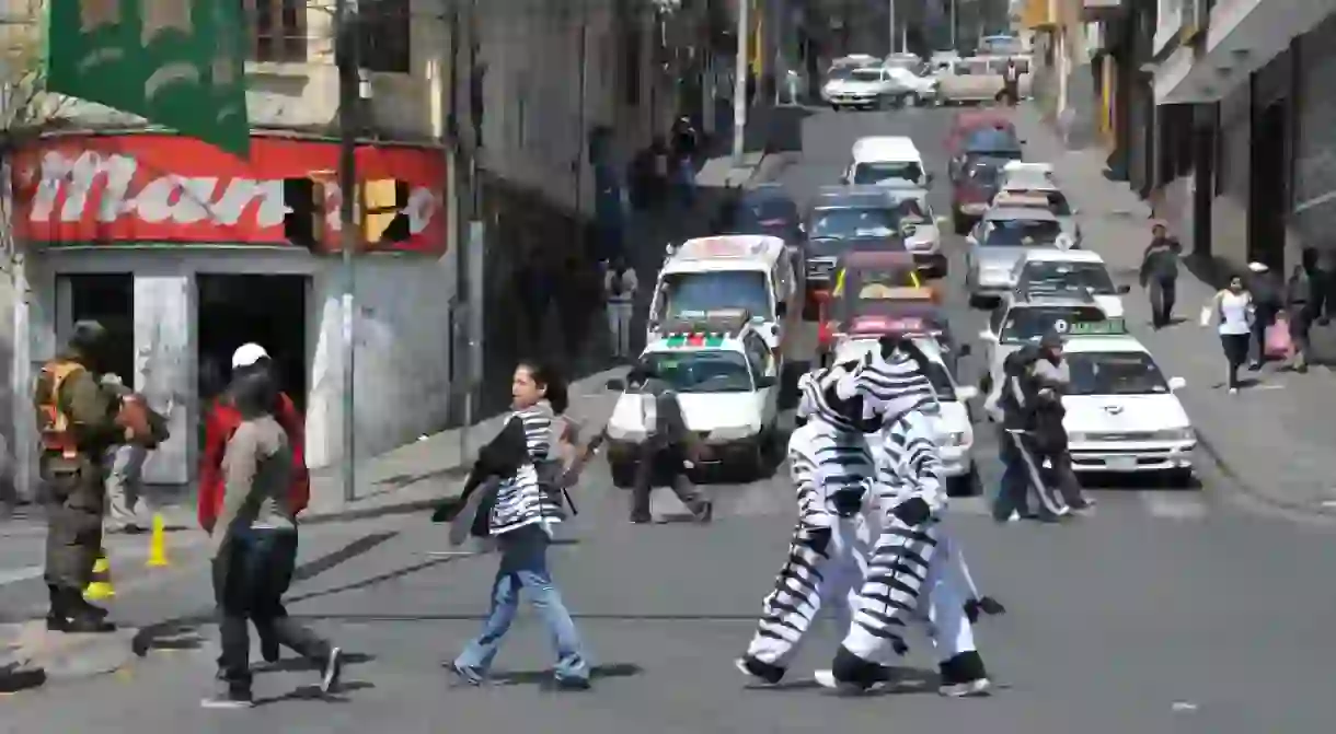 Bolivia zebras