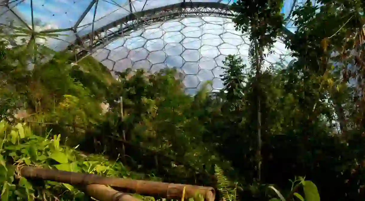 The Eden Project