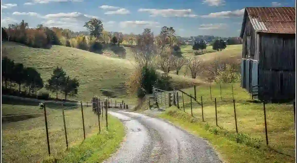 Back road in Tennessee