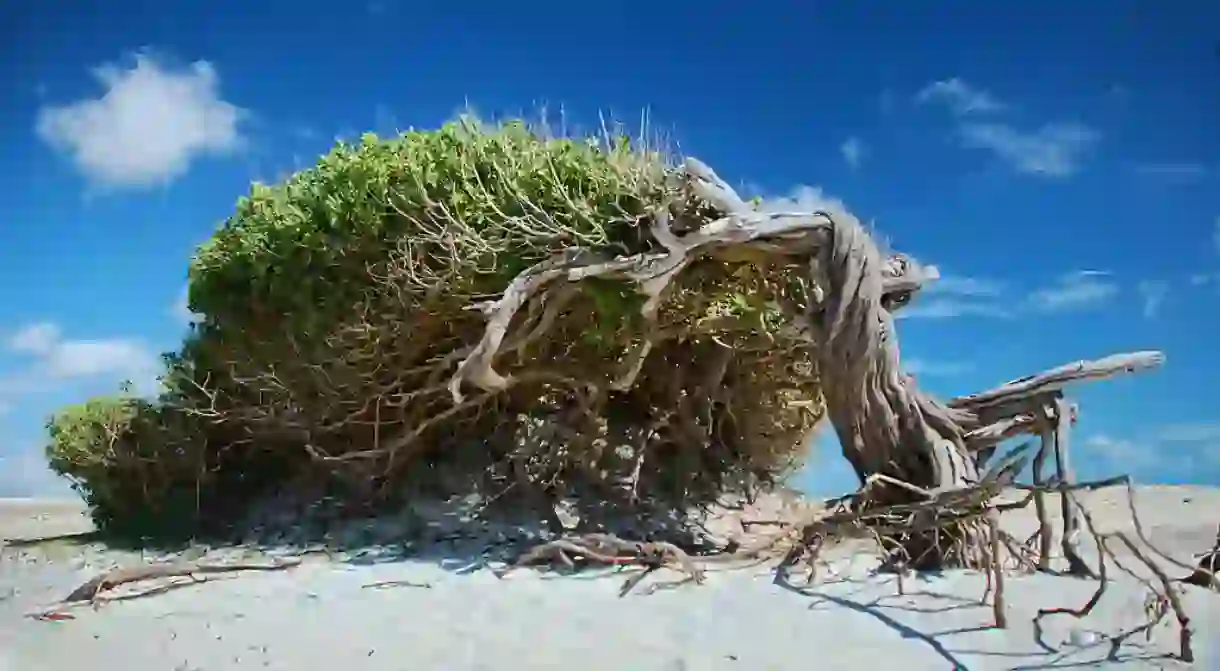 Jericoacoara