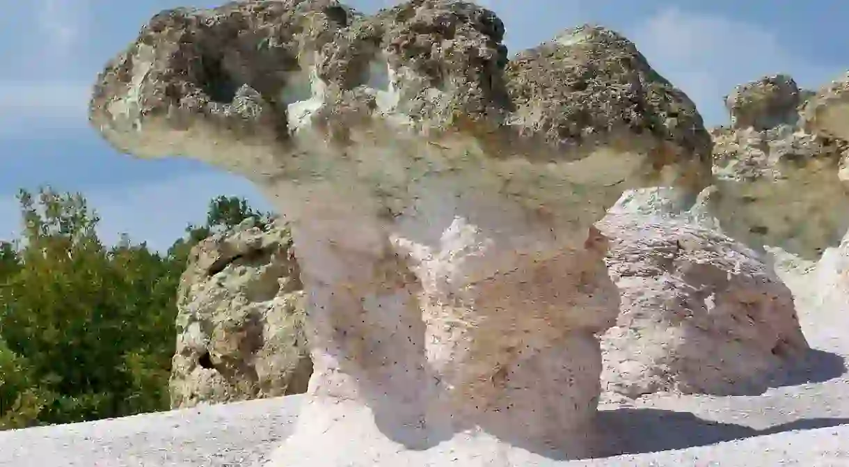 The Stone Mushrooms in Bulgaria