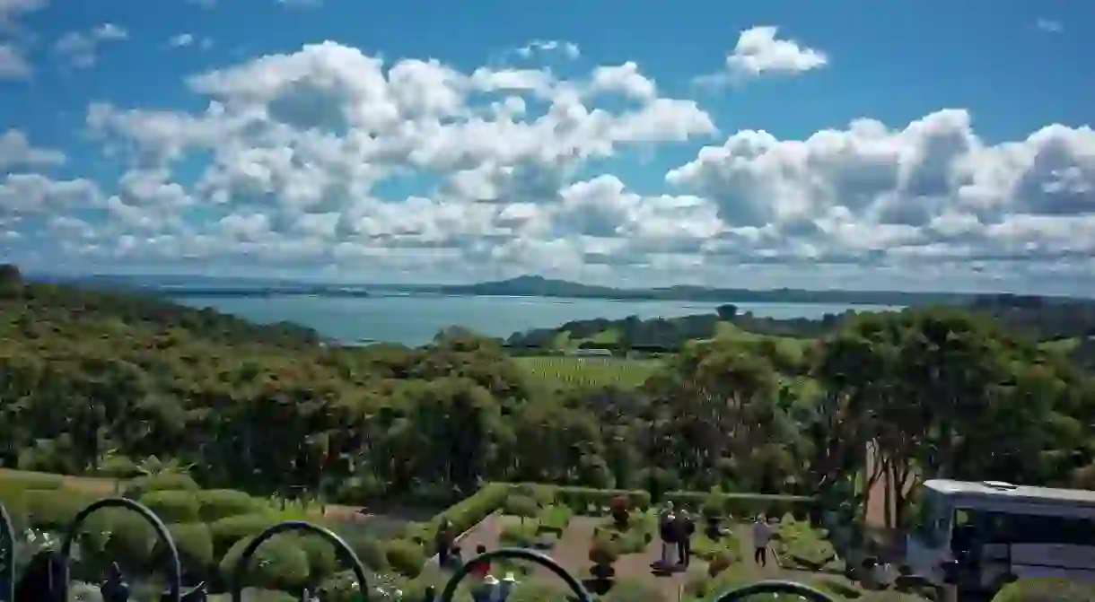 Waiheke Island Landscape