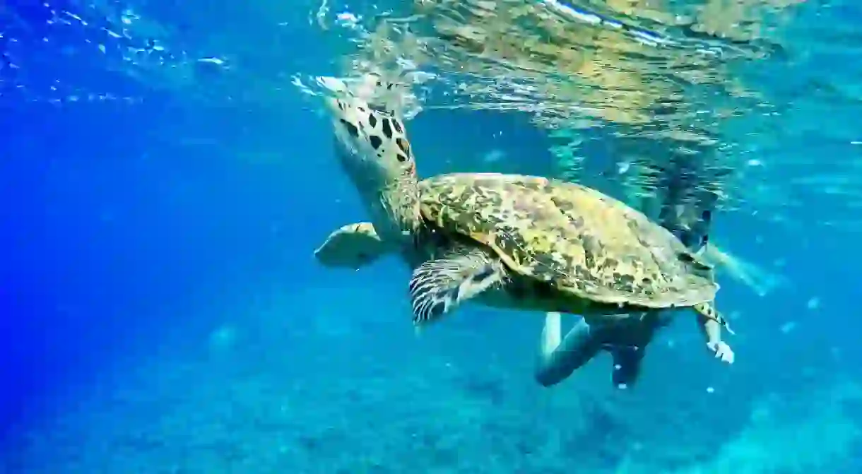 The tropical blue waters of Bali