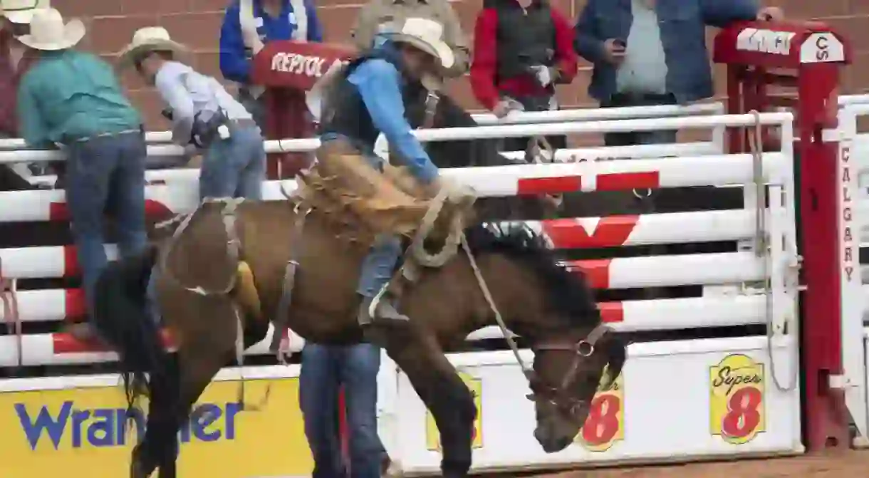 Calgary Stampede action