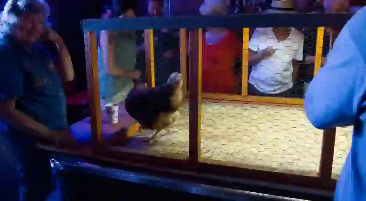 Chicken Shit Bingo at The Little Longhorn Saloon