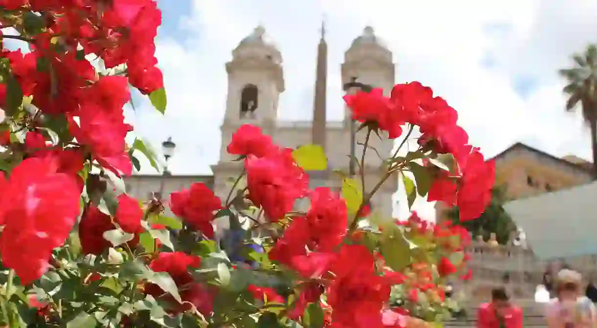 Spanish Steps in Spring