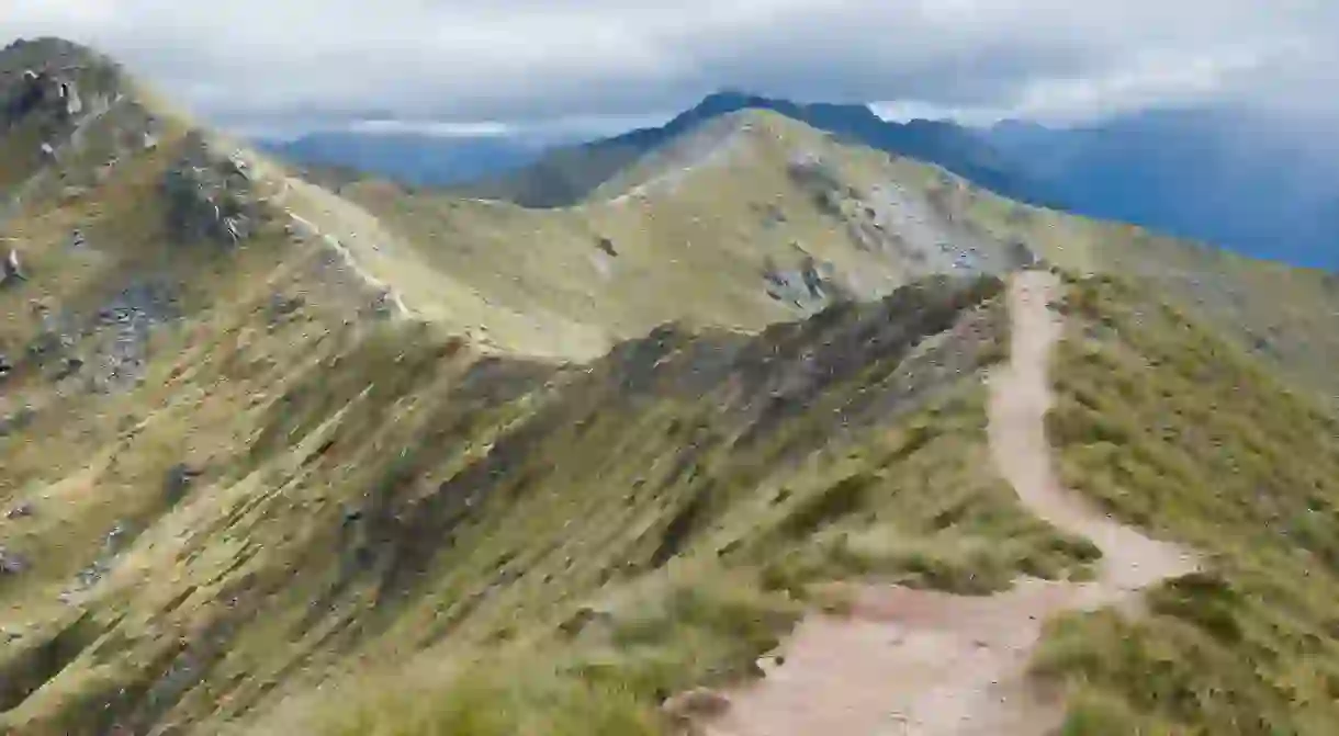 Kepler Track - the Ridgeline