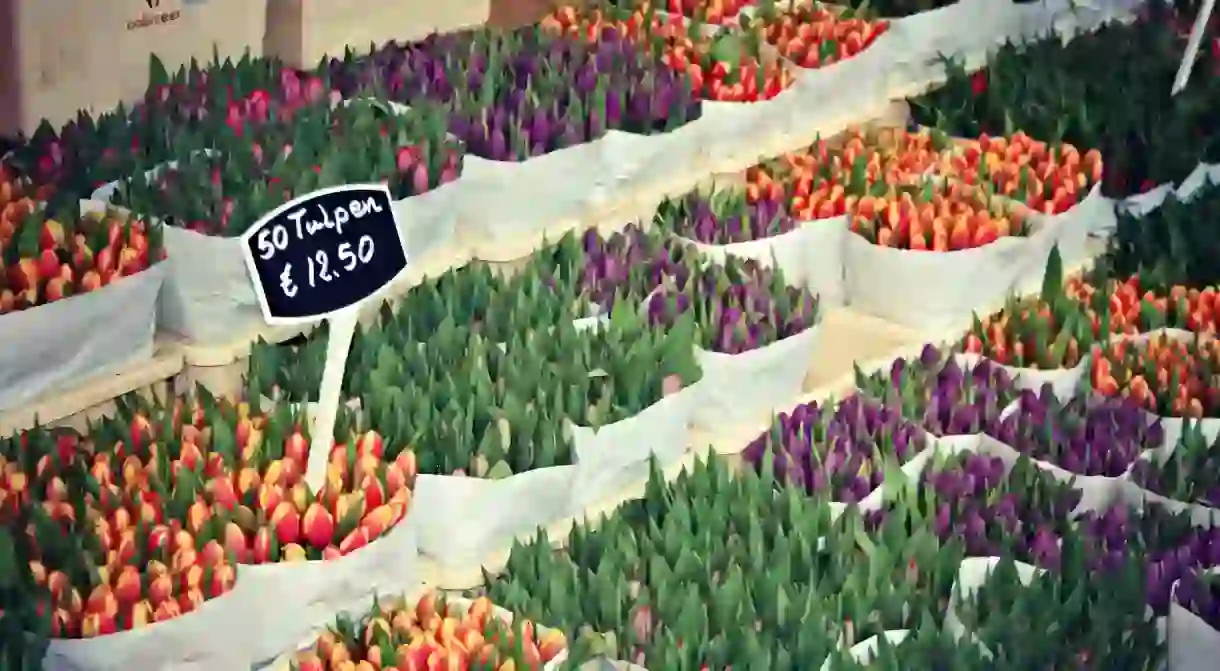 Tulips and other flowers at the Bloemenmarkt in Amsterdam