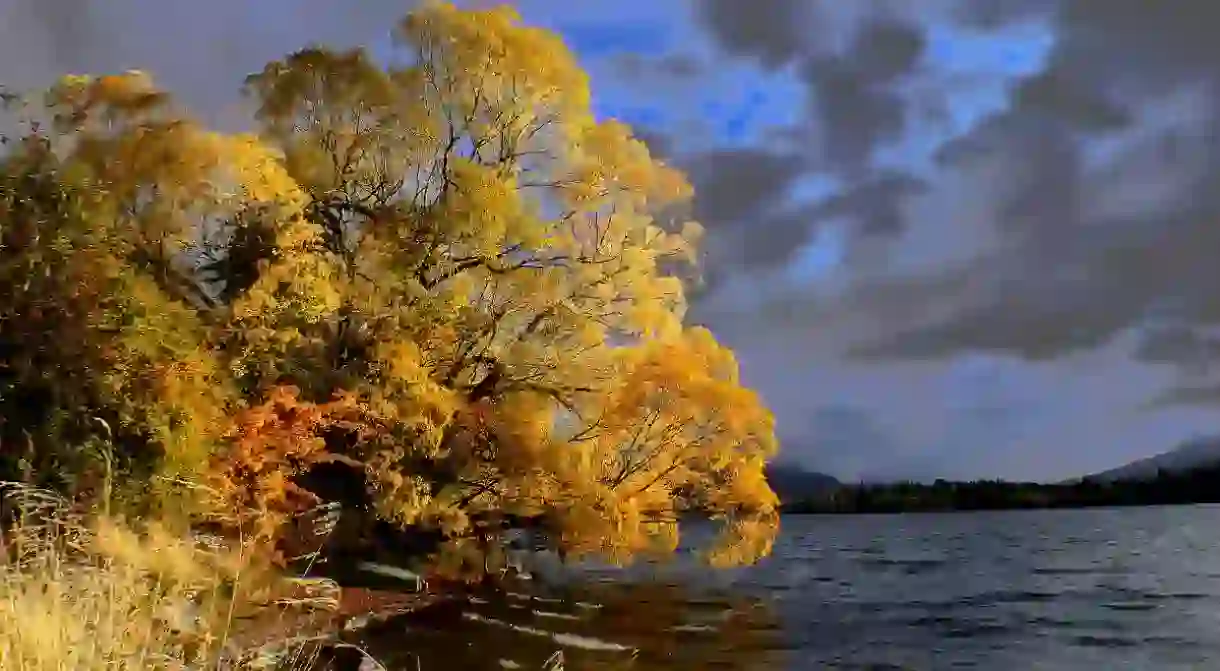 Lake Hayes, Otago in Autumn