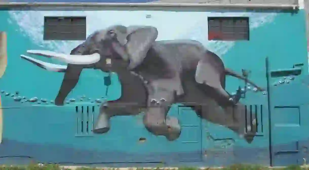 Mural of a swimming elephant in Woodstock, Cape Town