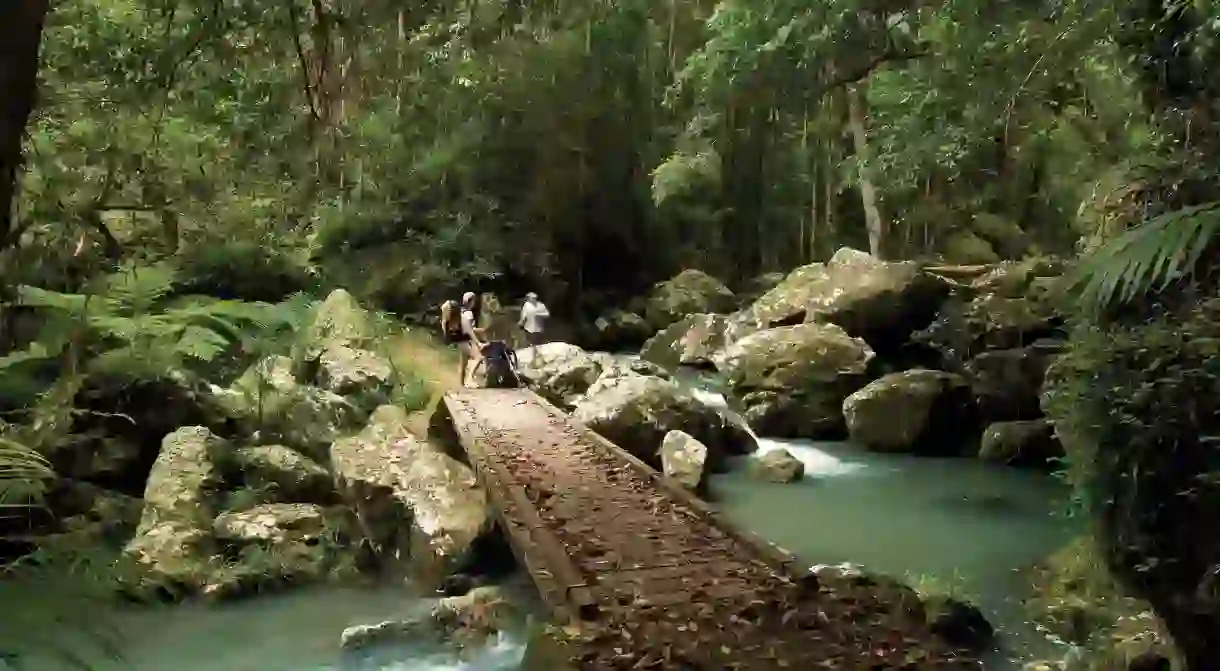 Kondalilla National Park