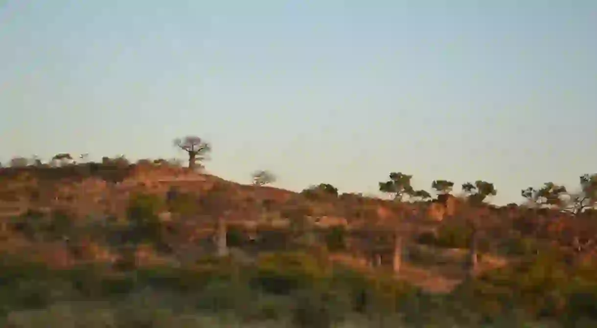 The Mapungubwe National Park was previously known as Vhembe Dongola National Park