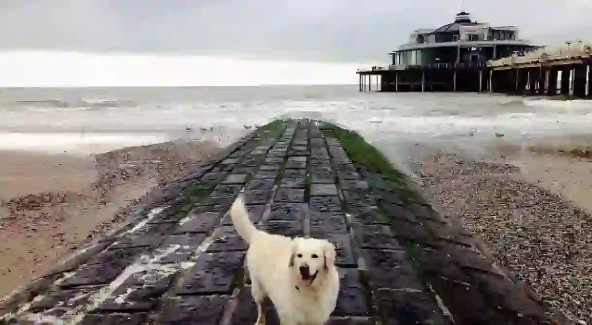 Posing on the breakwater in seaside town Blankenberge