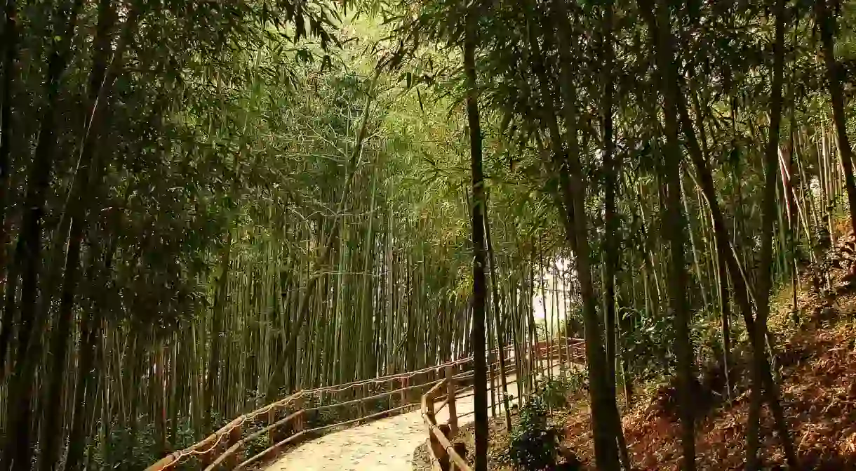 Damyangs Juknokwon (Bamboo Garden)