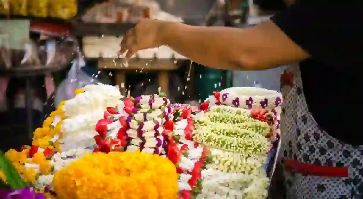 Explore the flower market