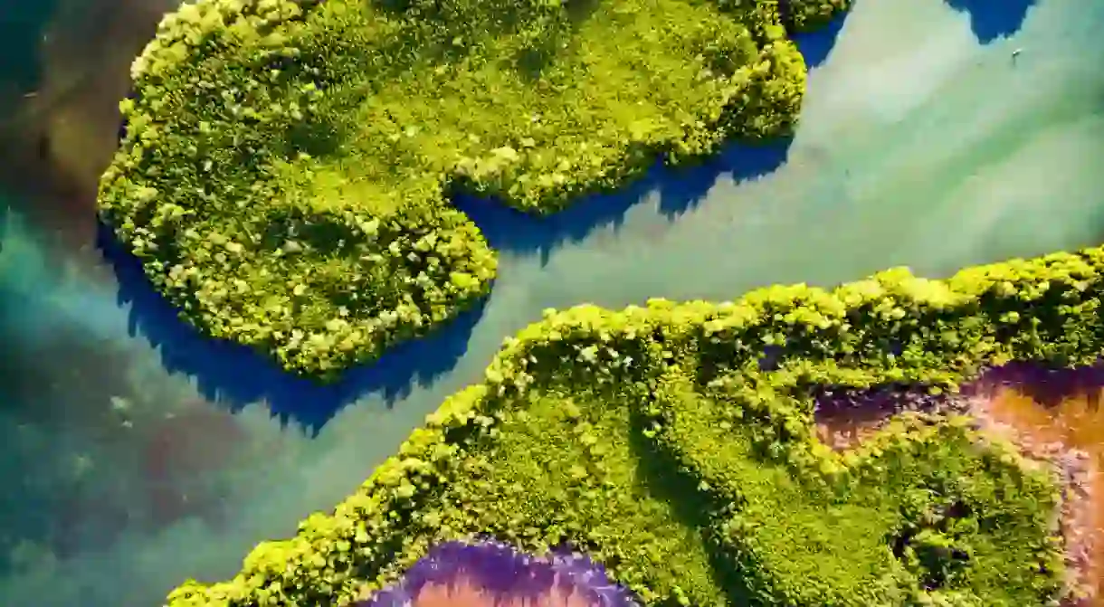 Drone shot of the mangroves in Puerto Rico