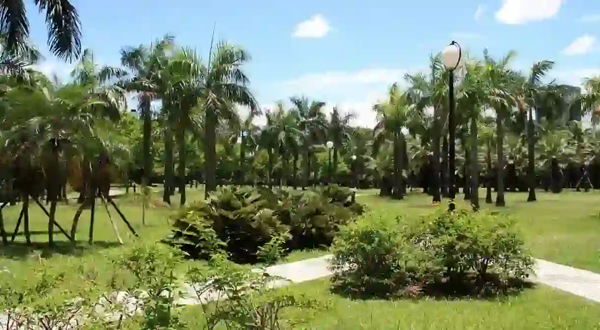 Daan Forest Park