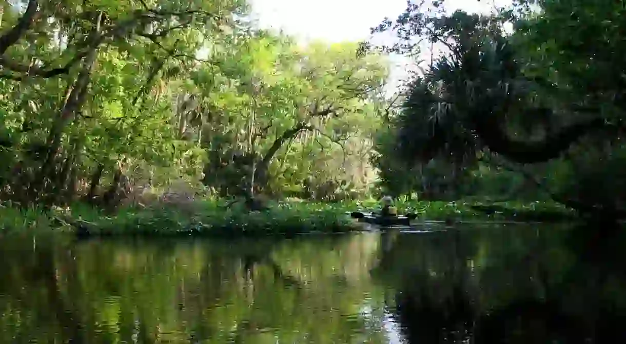 Wekiwa River Run