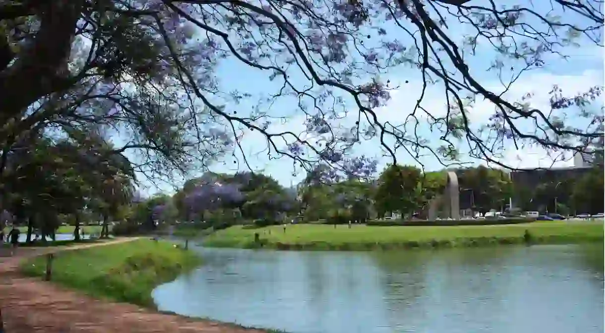 Ibirapuera Park