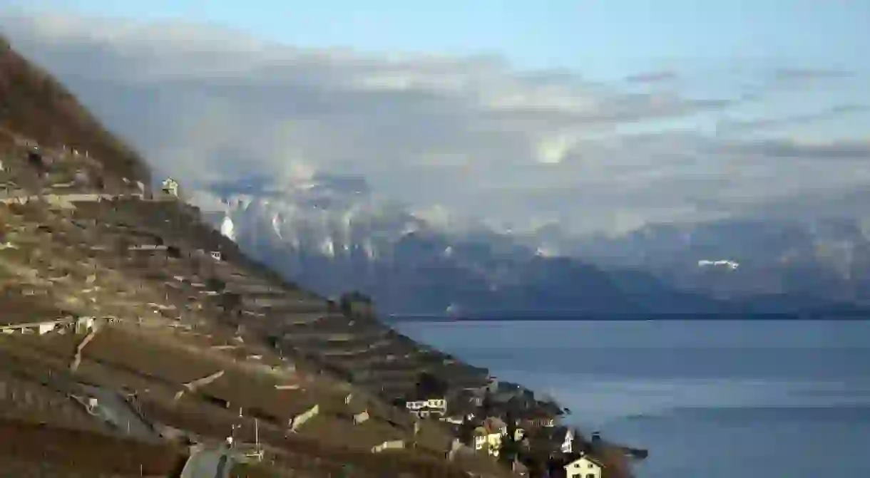 The Lavaux vineyards