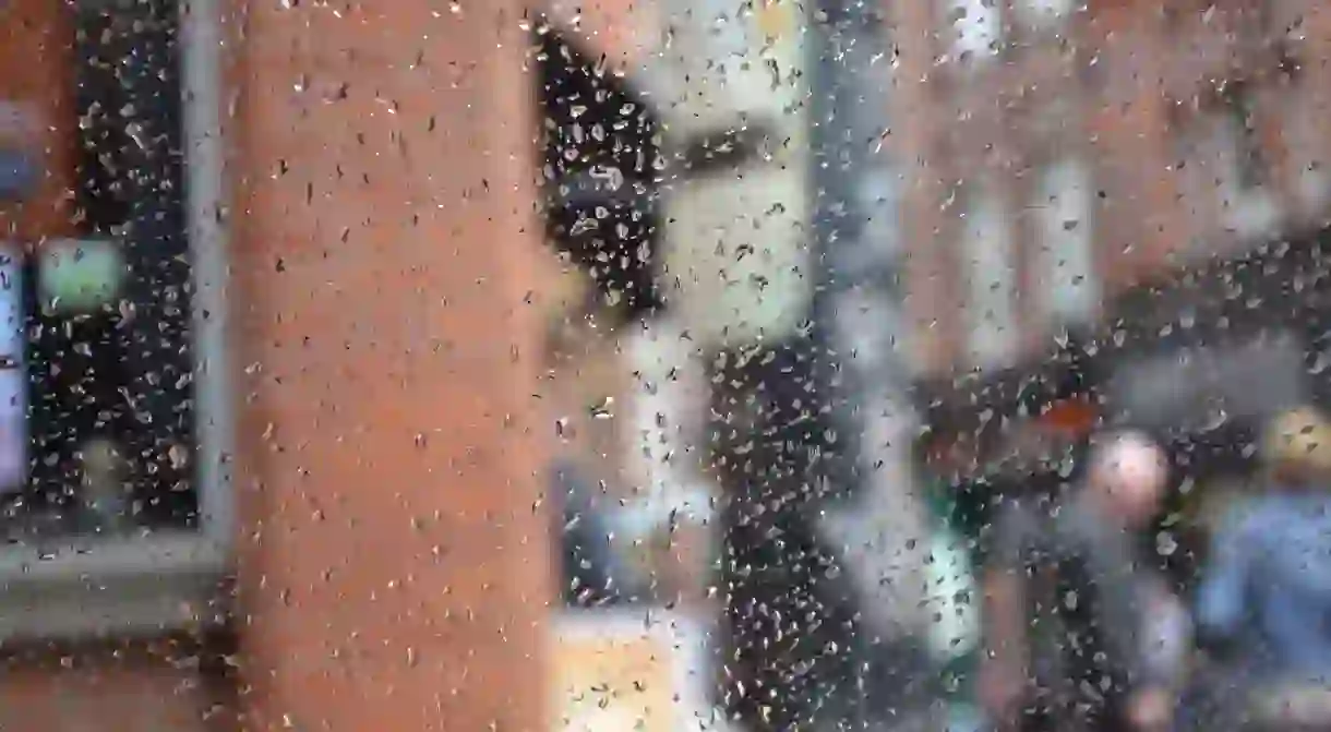 Rain on a Dublin window