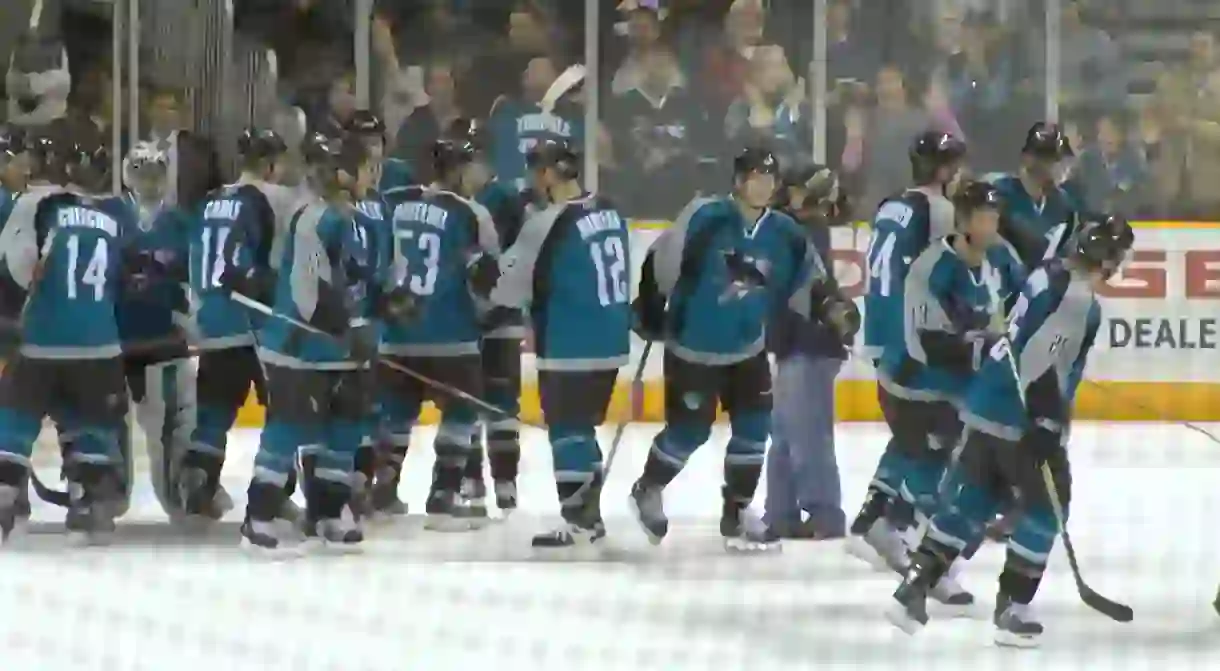 SJ Sharks 121106 celebration