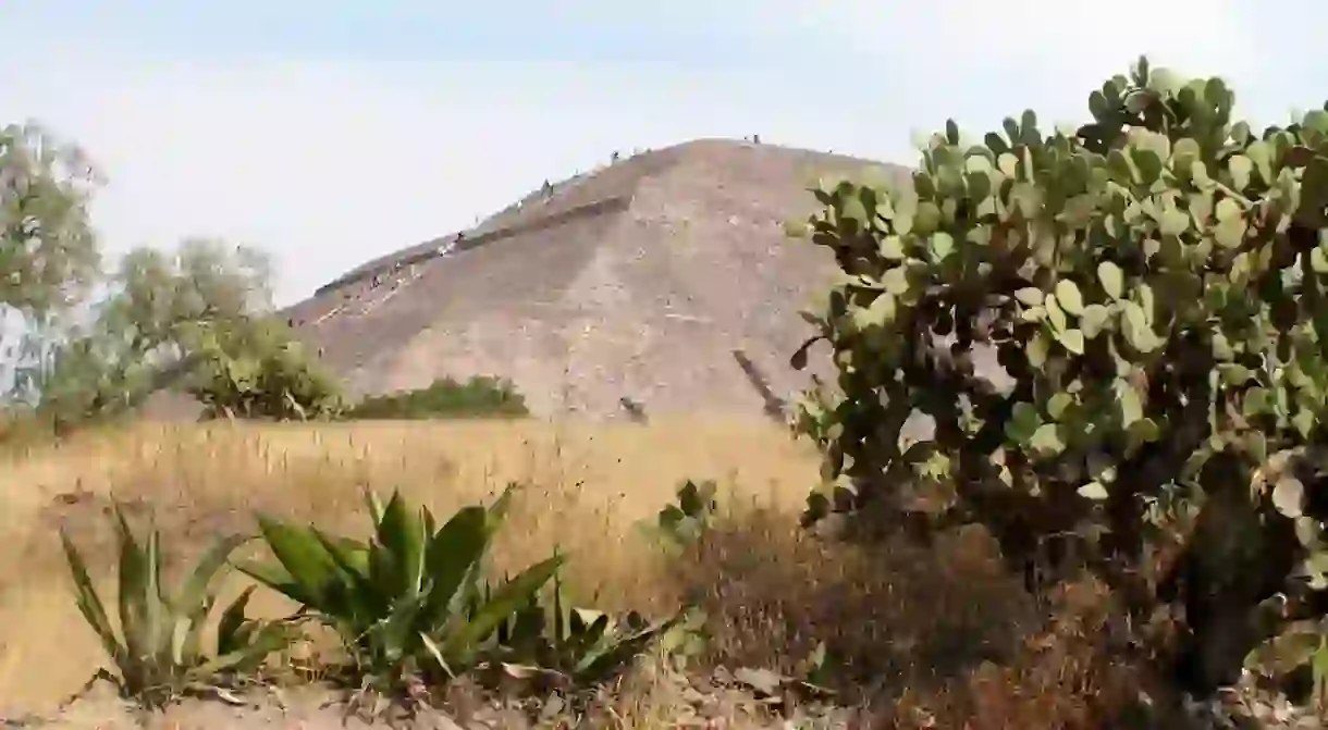 Cactuses and the Pyramid of the Sun at Teotihuacán