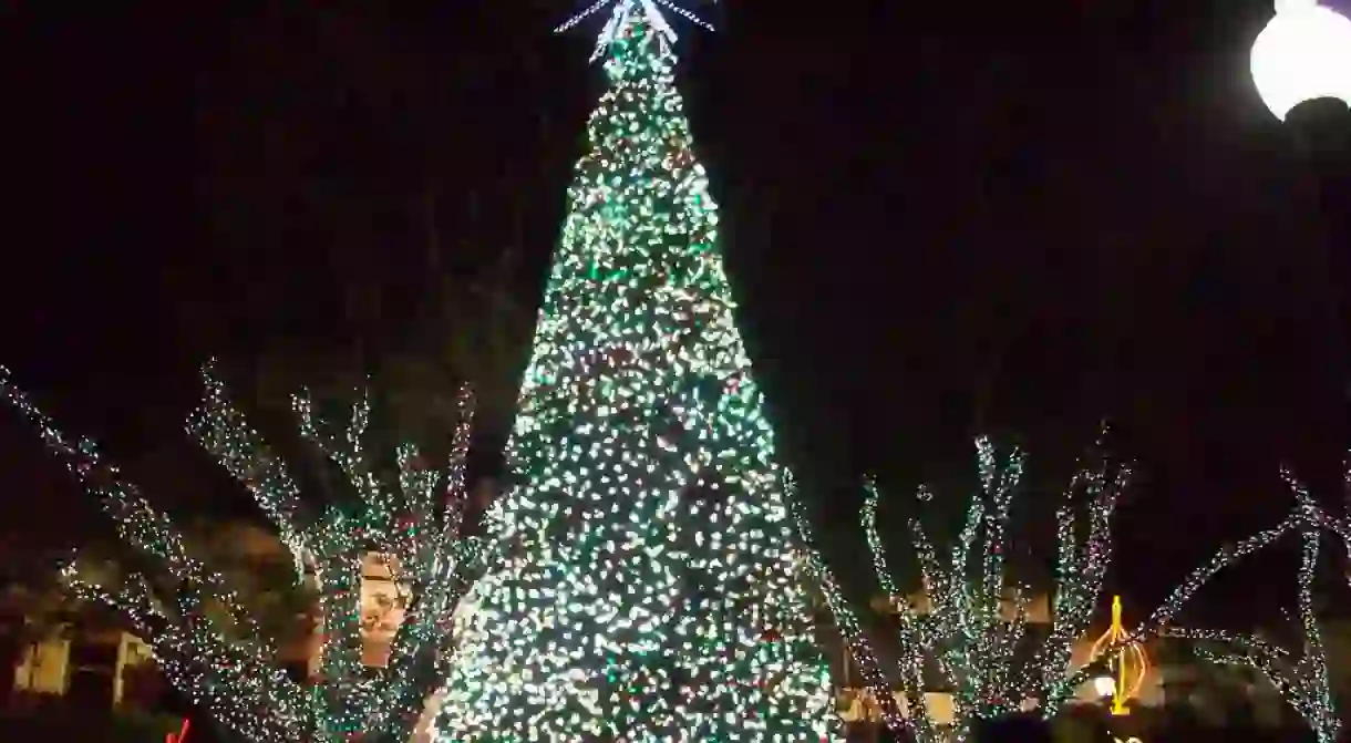 A Christmas tree and lights in Mayaguez