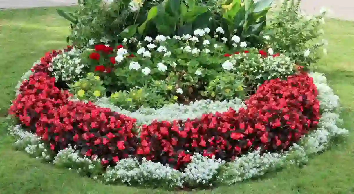 Central Alley with Flower Beds in Seaton Park