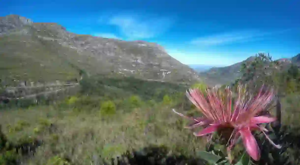 The Pass to Pass trail near George offers breathtaking views