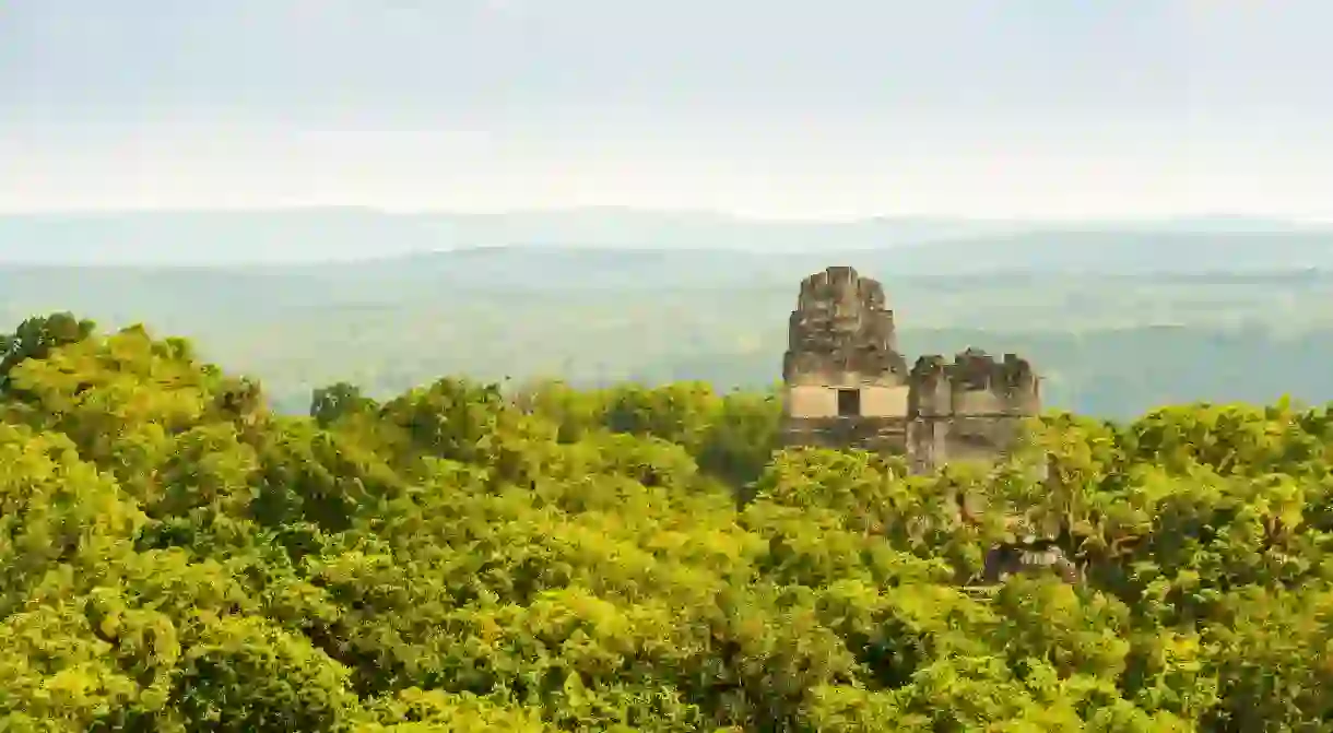 Tikal ruins in Guatemala with thick tropical jungle