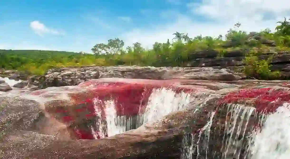 Cano Cristales