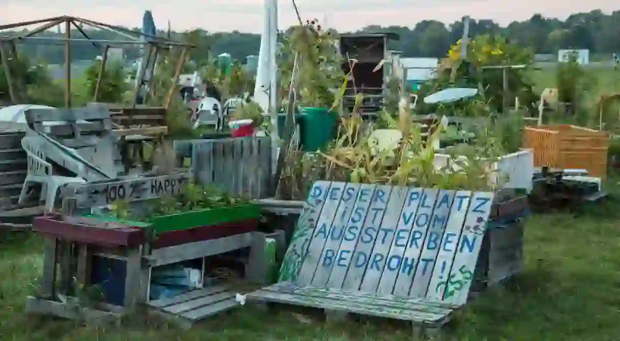 A community garden at the abandoned Tempelhof Airport