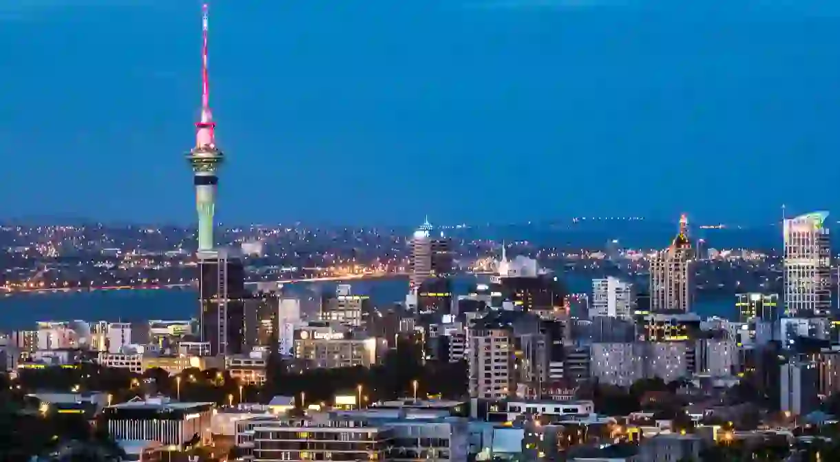 Auckland from Mt Eden