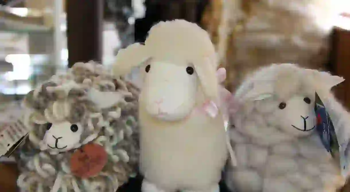 Souvenir sheep from a shop in Queenstown