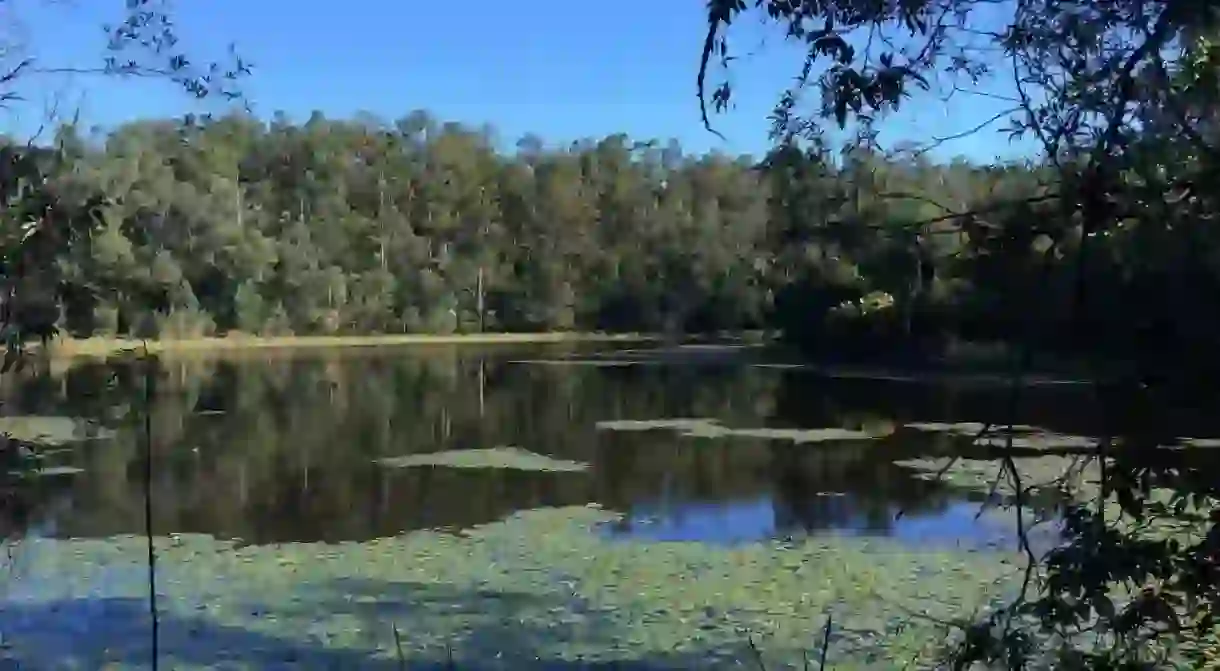 Enoggera Reservoir