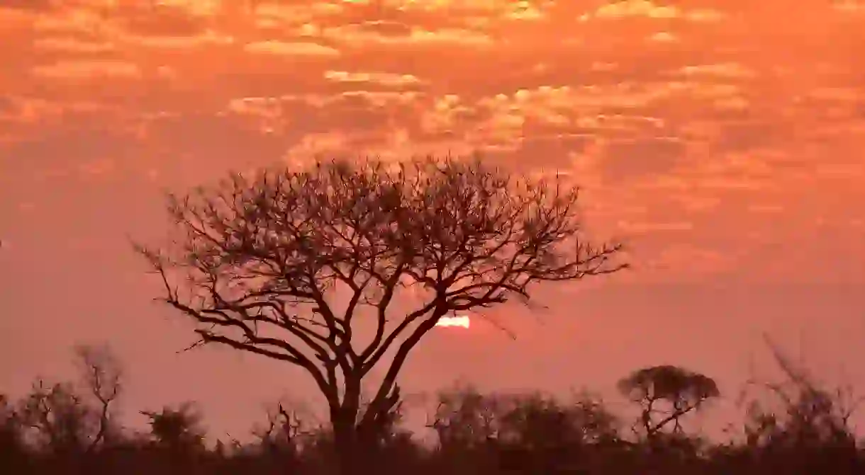 Sunrise in South Africa