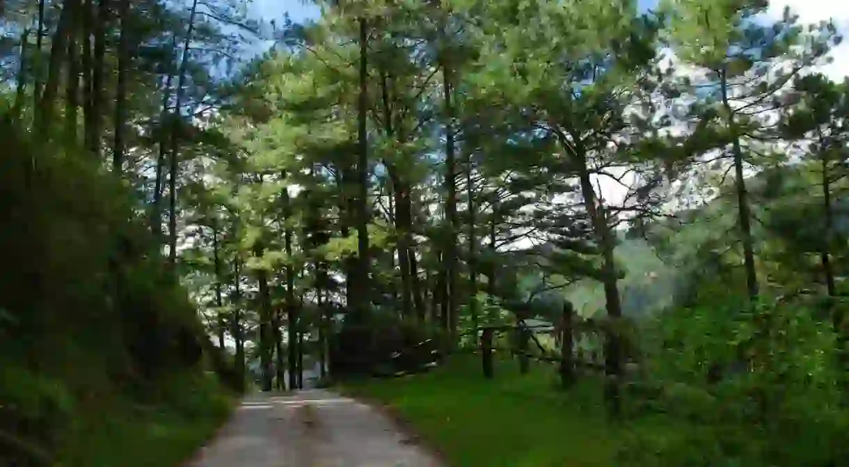 Path in Sagada