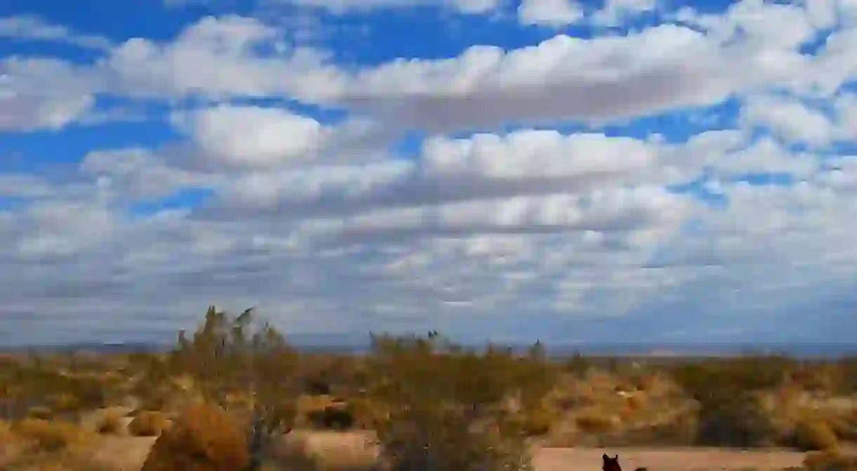 Desert outside El Paso, Texas