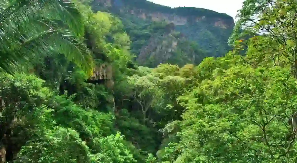 Ubajara National Park I