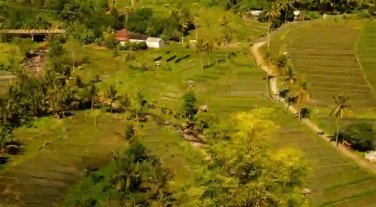 Farming culture of Indonesia