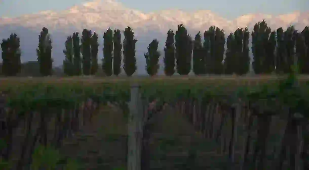 Sunrise in Mendoza