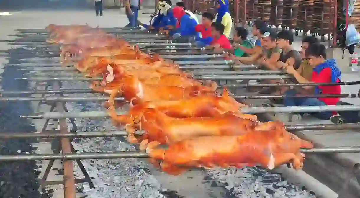 Roasting Pigs