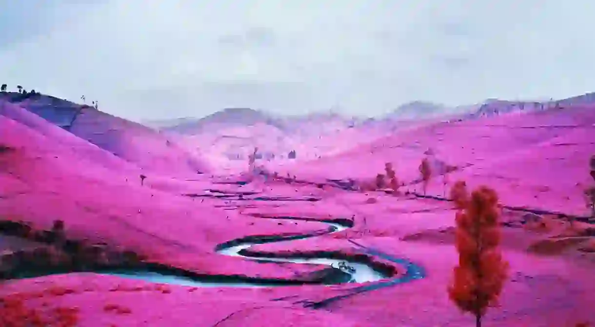 Richard Mosse, Platon North Kivu, D.R. Congo, 2012