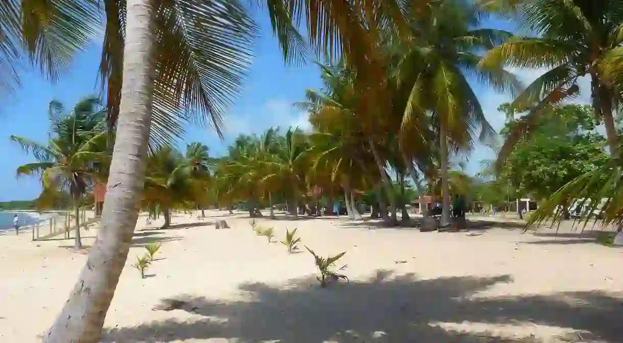 A beach in Vieques, Puerto Rico