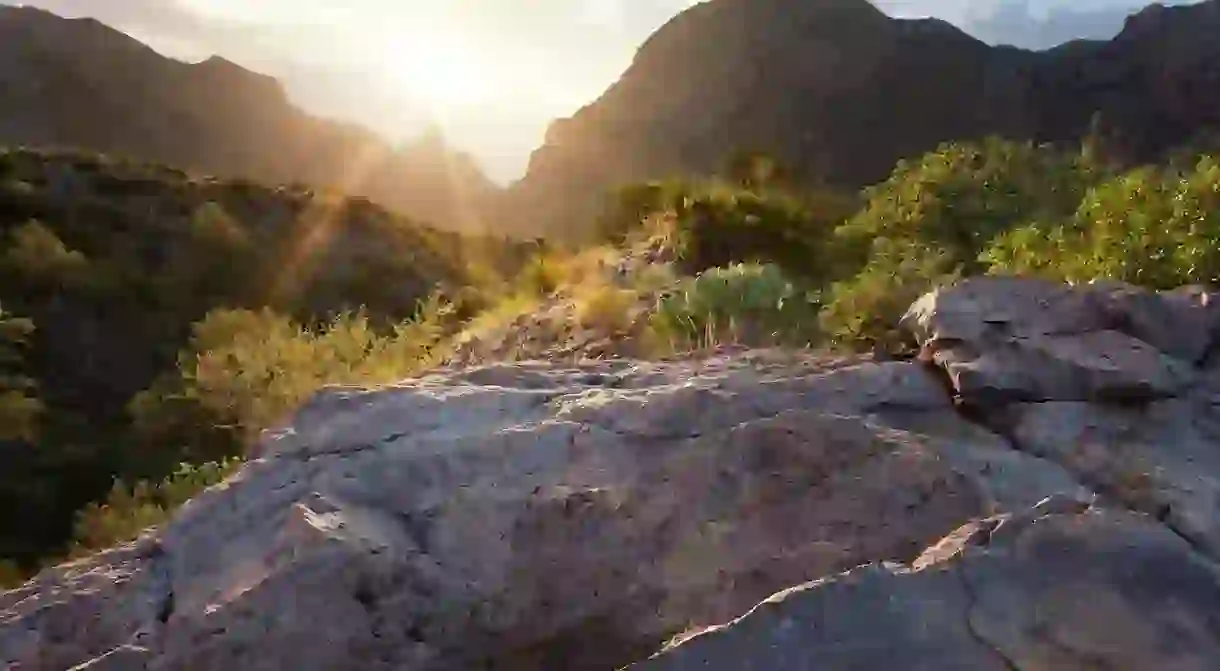 Big Bend National Park