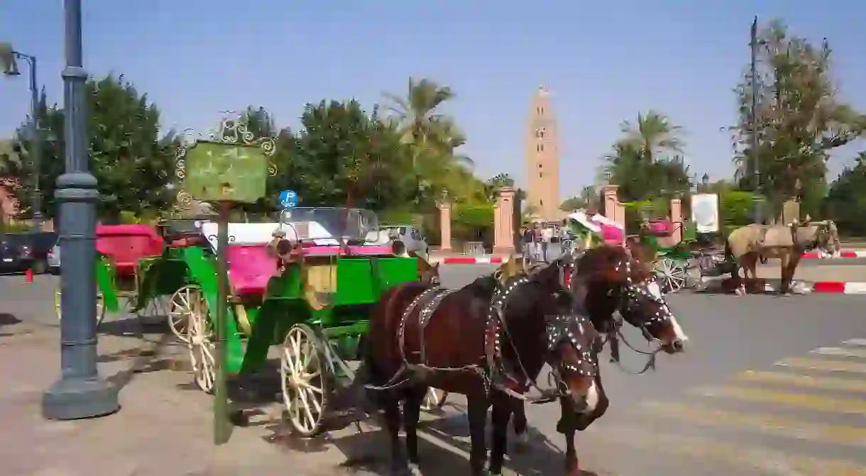 Calleche in Marrakech