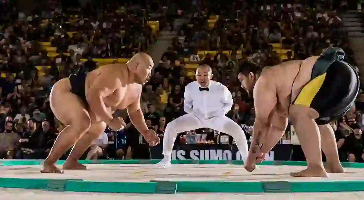 Byambajav Ulambayar (left) won the heavyweight and openweight gold at the 2016 U.S. Sumo Open