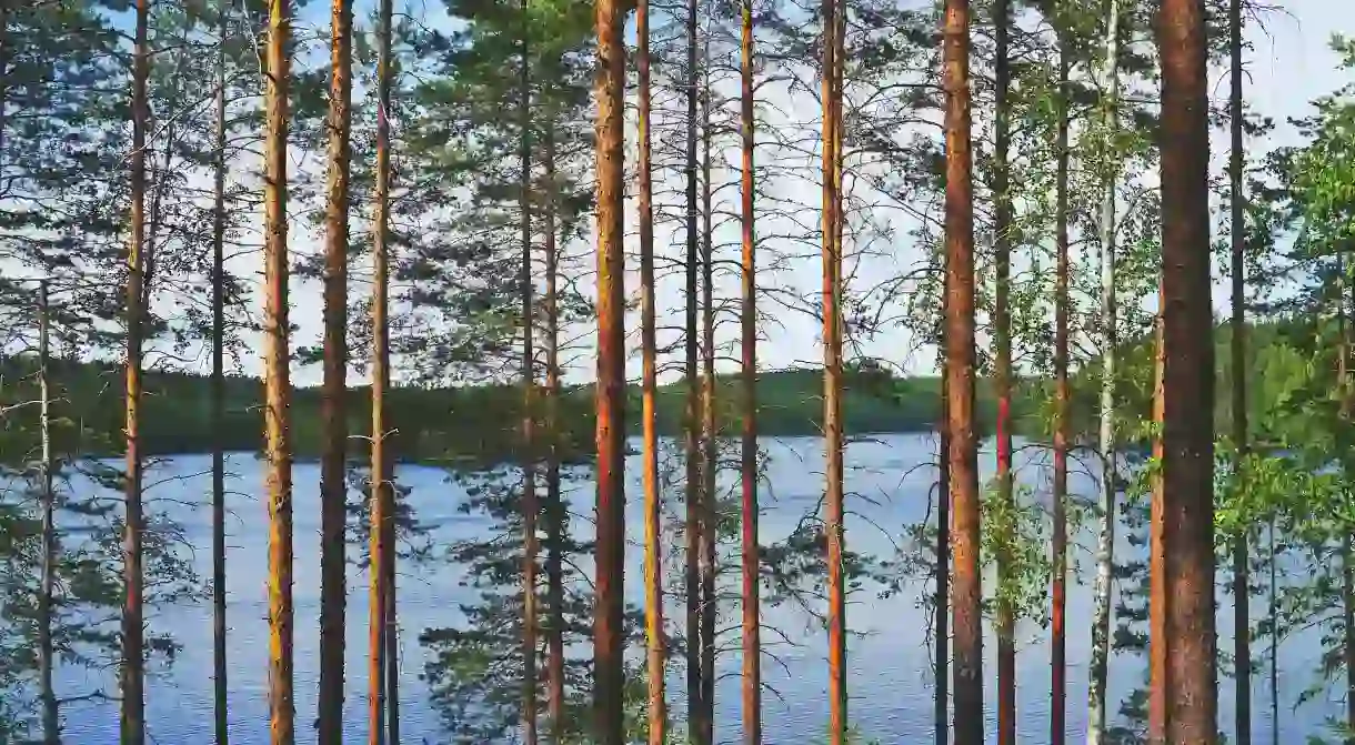 Finnish lakeside