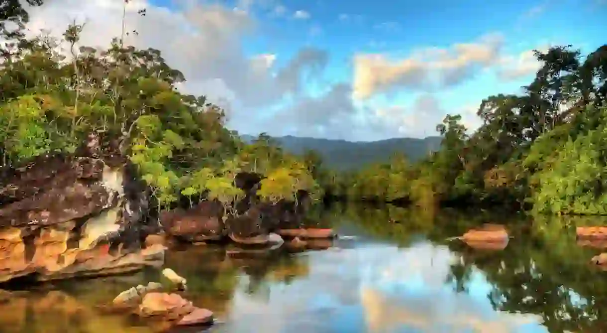 Beautiful view of the tropical jungle river at the beach of Masoala National Park in Madagascar